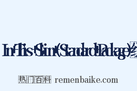 In+This+Skin+(Standard+Package)组词是什么意思的图片